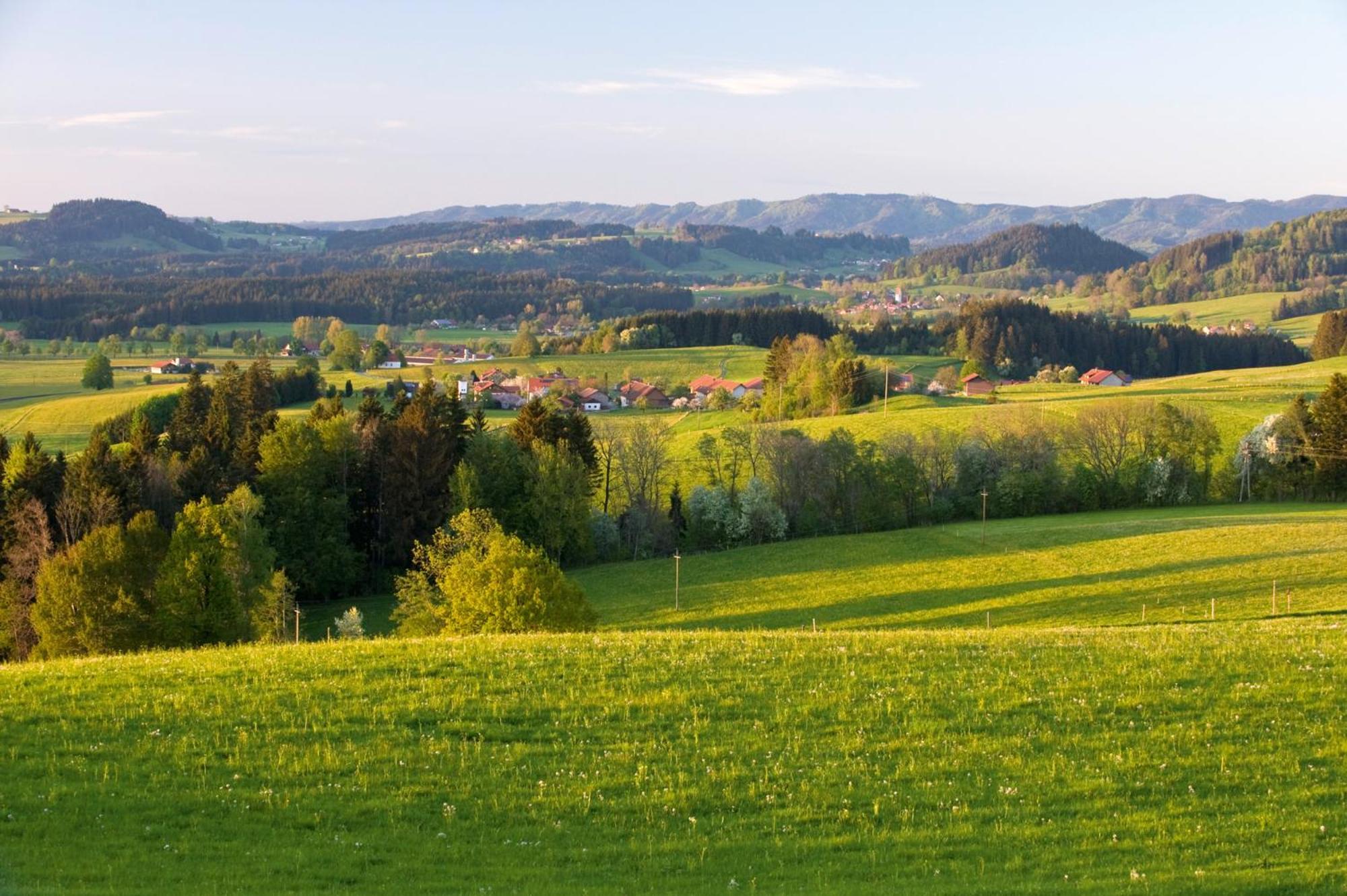 Allgaeu-Glueck Gruenenbach Grunenbach 외부 사진